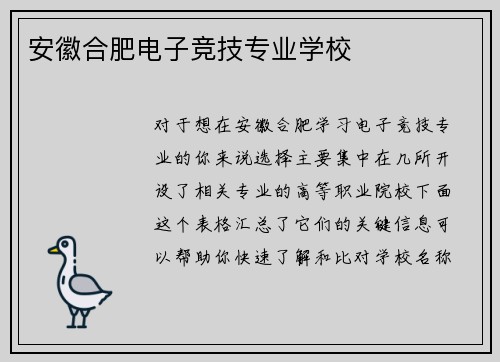 安徽合肥电子竞技专业学校
